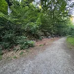Unser Harztraum Apartment Blankenburg (Harz)