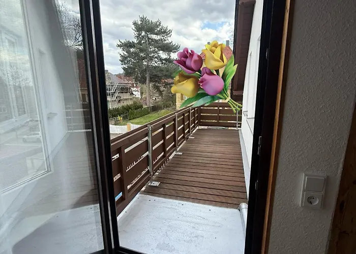 Unser Harztraum Lägenhet