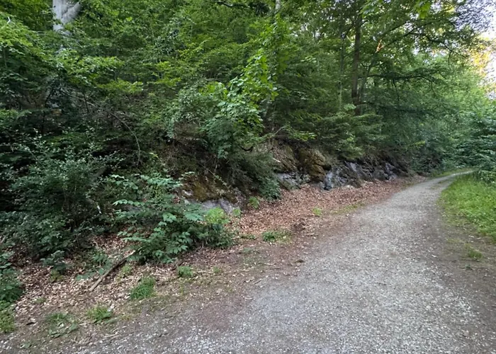 Unser Harztraum Lägenhet Blankenburg (Harz)